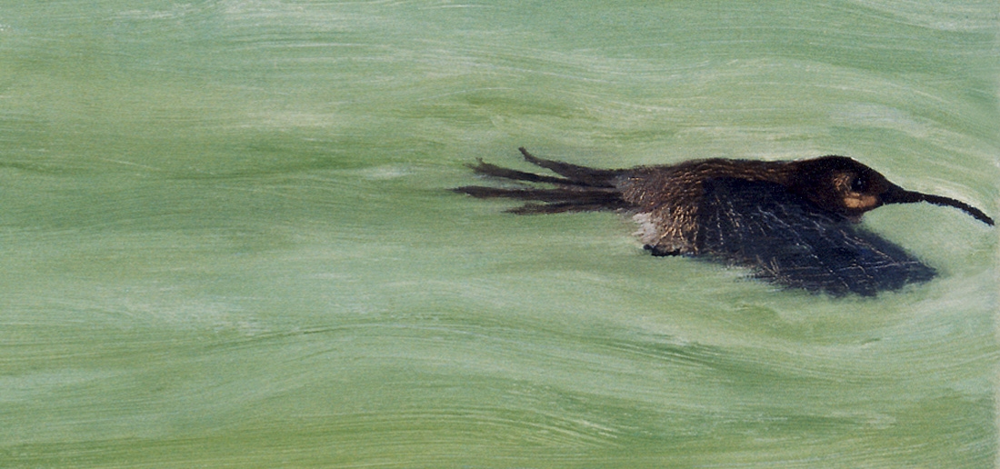 Der Kolibri (Detail)