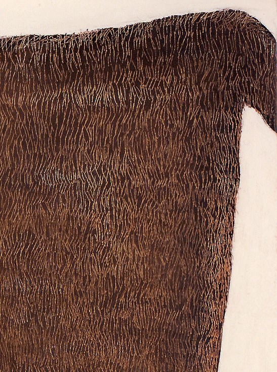 Cow skin (Detail)